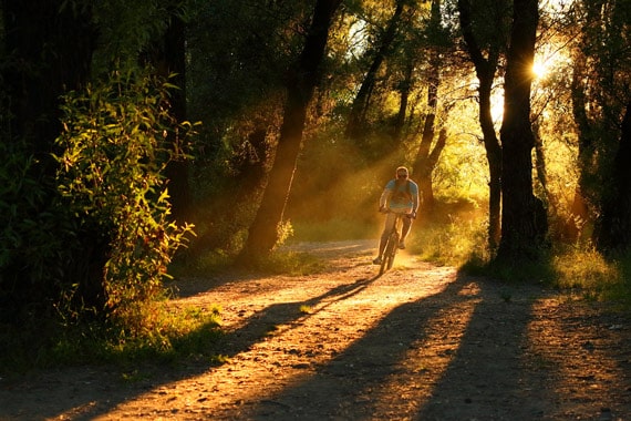 A capture of a person cycling at golden hour in a forest