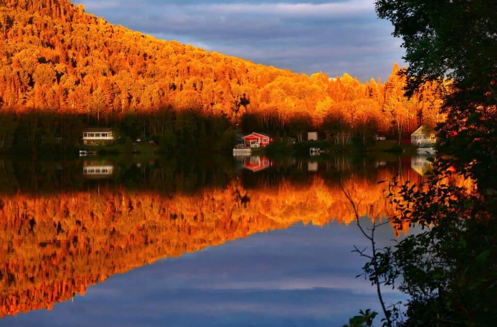 A capture of reflections in water of fall orange trees with small houses around