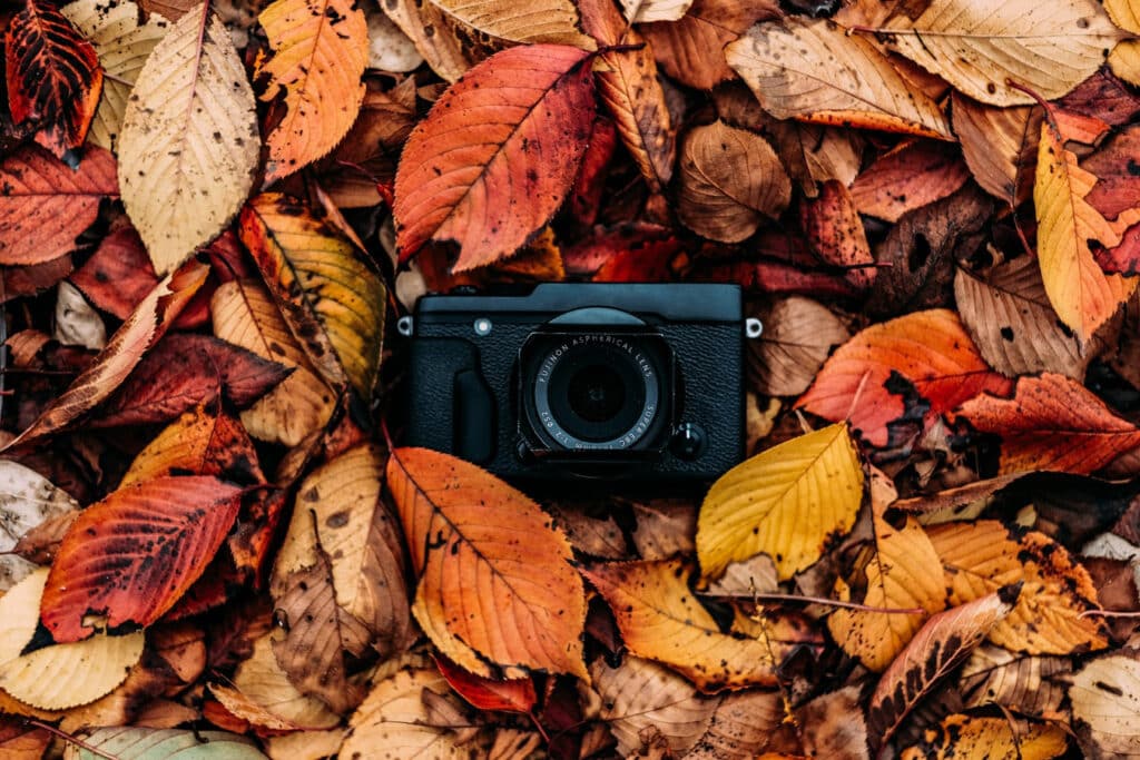 A view of a camera placed in between the autumn crisp leaves