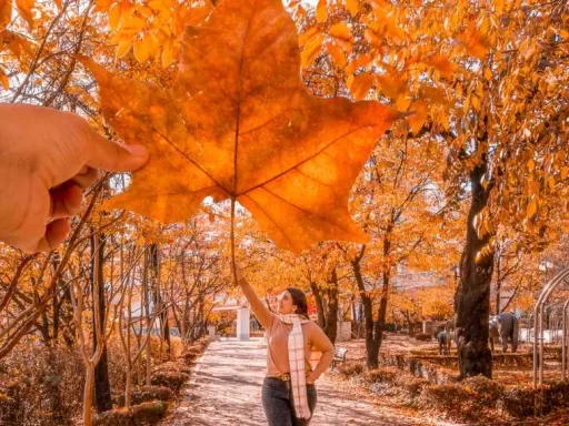 A view of a person holding a maple leaf in autumn and capturing a girl posing for photography in a garden