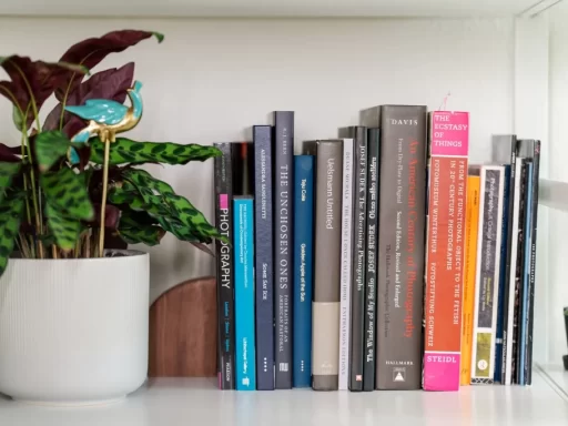 a number of books arranged in a shelf along side a plant pot