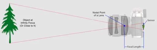 focal length illustration tree as subject