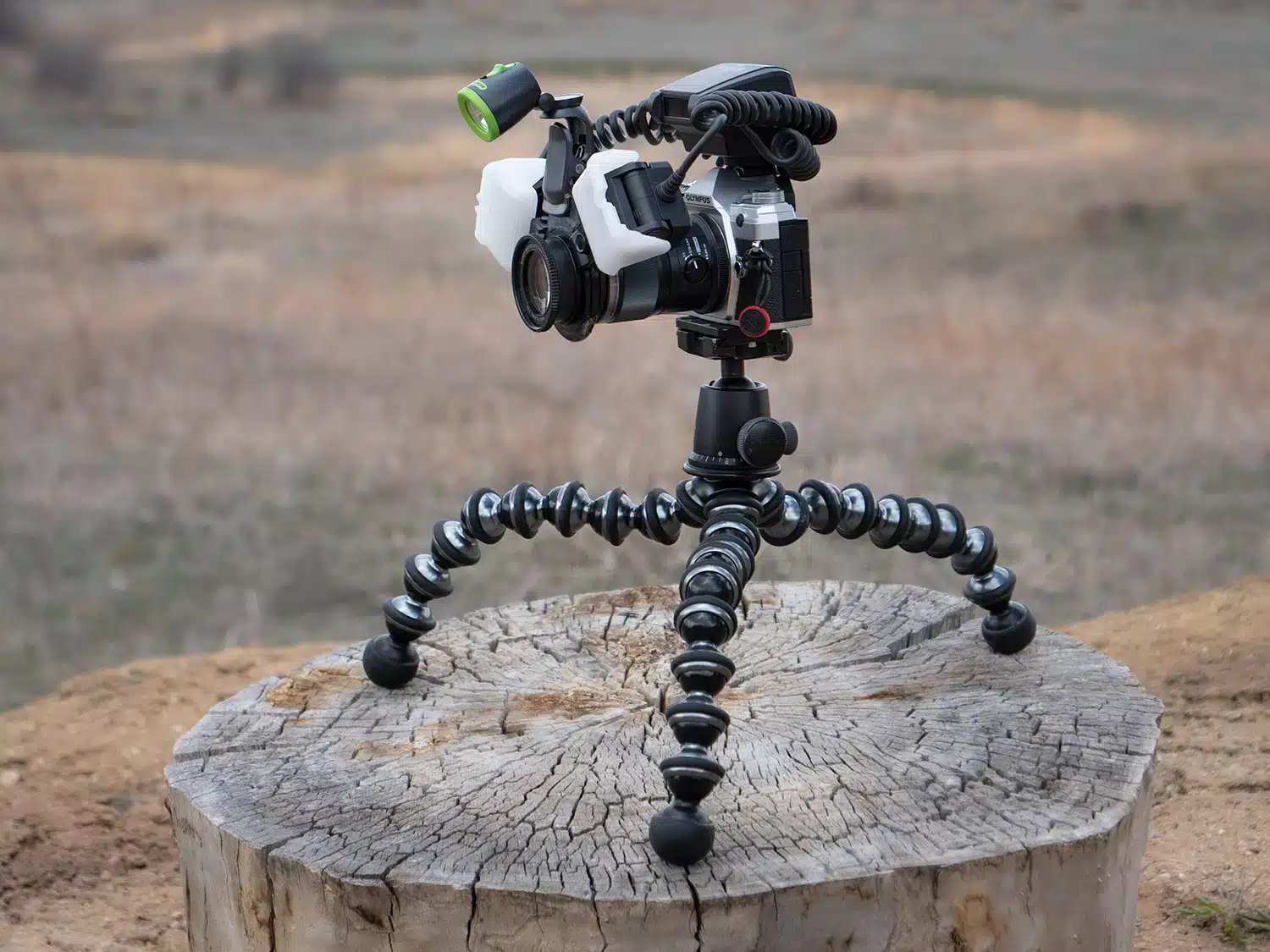 a cam set up on a tripod placed on a wooden log