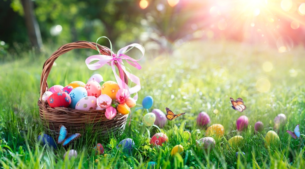 Easter Eggs In Basket On Grass With Butterflies 