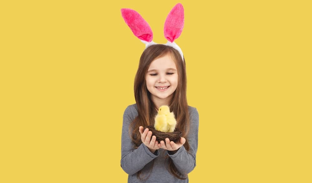 Little Girl With Rabbit Ears On Her Head Playing with chick 