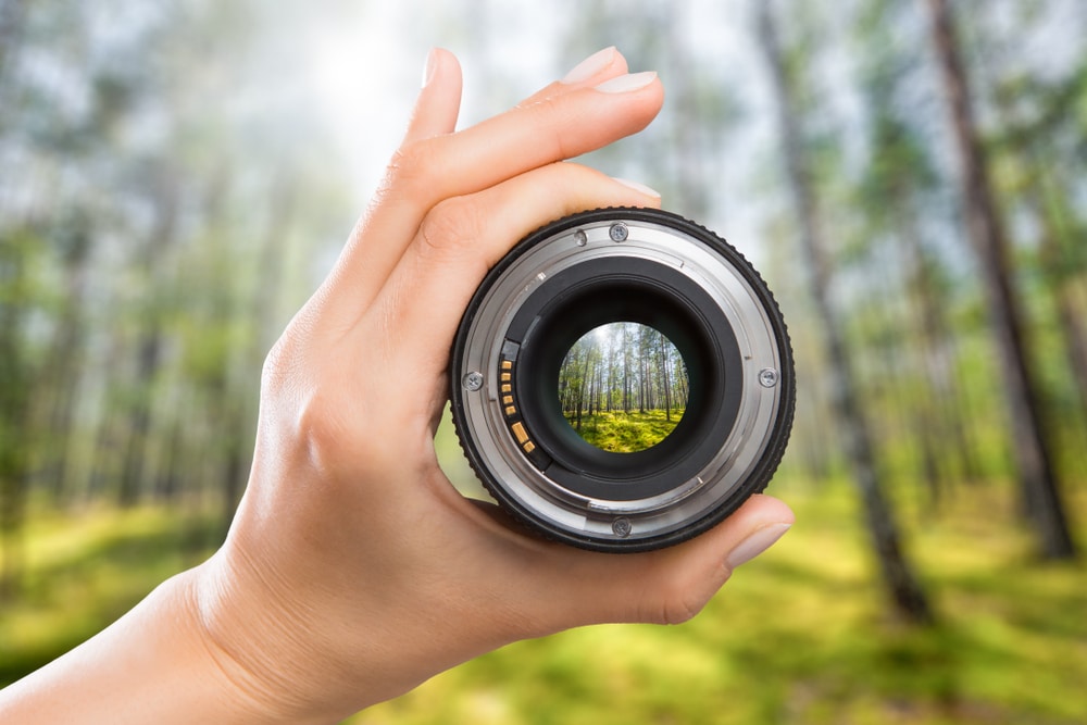 Photography View Camera Photographer Lens Forest Trees Lense Through Video