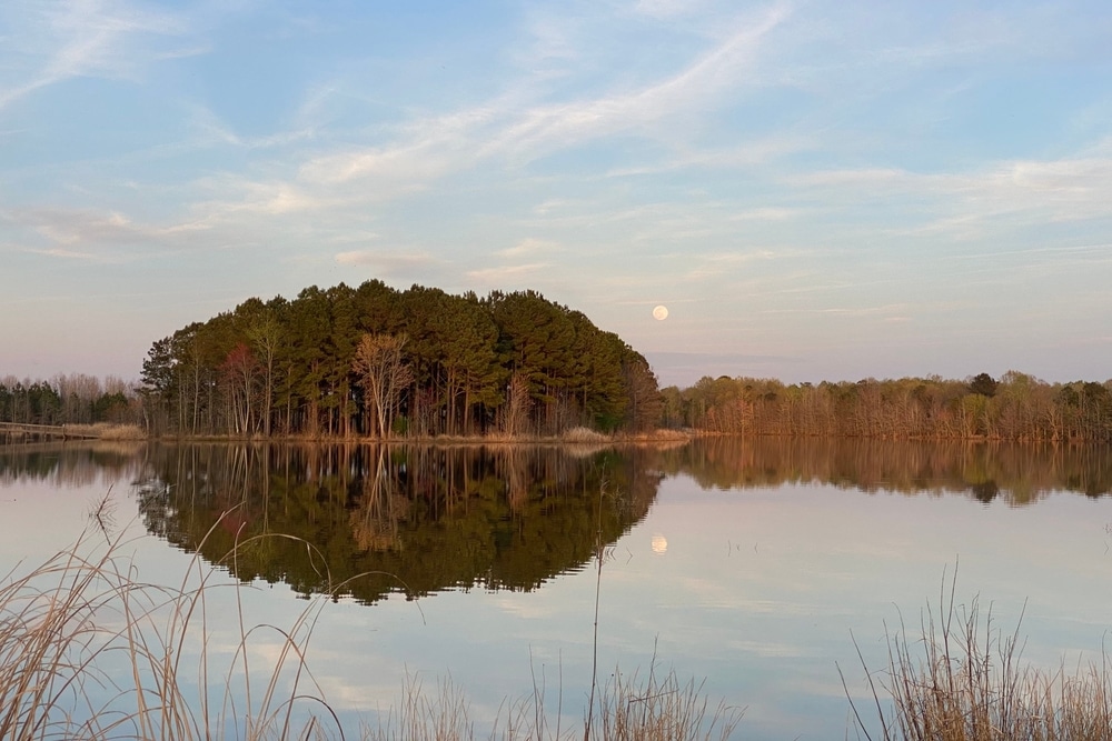 A calm lake scene during twilight, with a cluster of trees perfectly mirrored in the still water. 