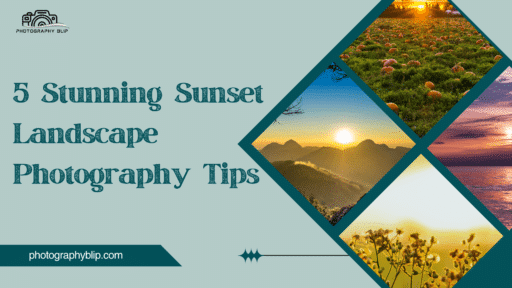 5 Stunning Sunset Landscape Photography Tips A Detailed Guide