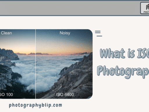 What is ISO in Photography Everything Your Need to Know ( )